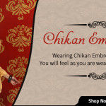 Exquisite Chikan Embroidery