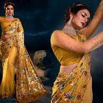 Top Trendy Half and Half Saree Designs
