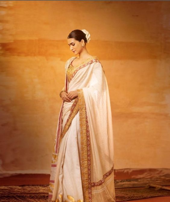 Double Drape Saree: Kriti Sanon’s Royal Affair
