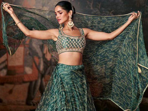 Beautiful Belly Dance Designer Lehenga Indian Ethnic Traditional
