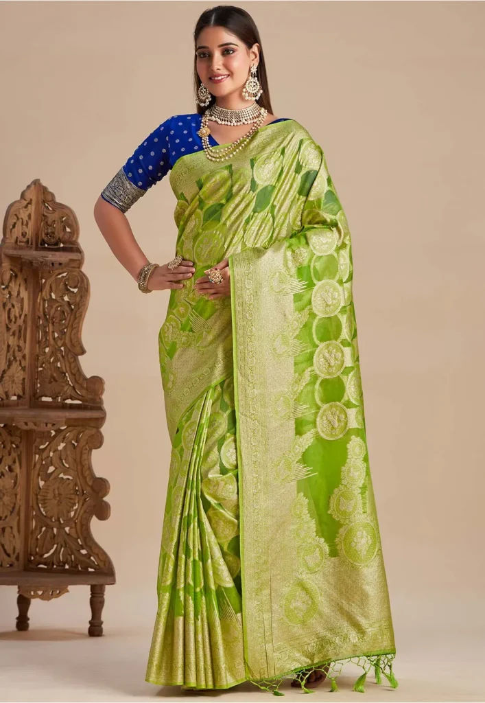 Banarasi Saree in Light Green