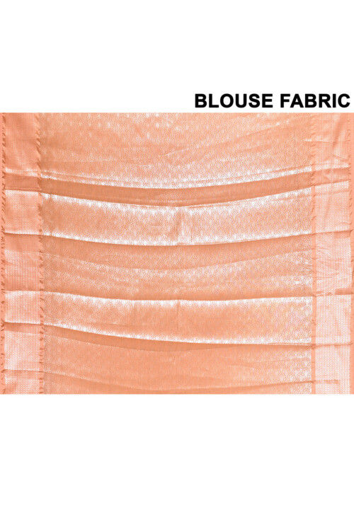 Banarasi Saree in Light Brown