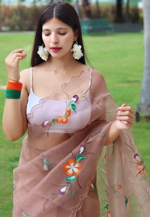 Hant Painted Organza Saree in Brown