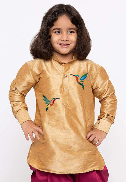 Embroidered Dupion Silk Kurta in Beige