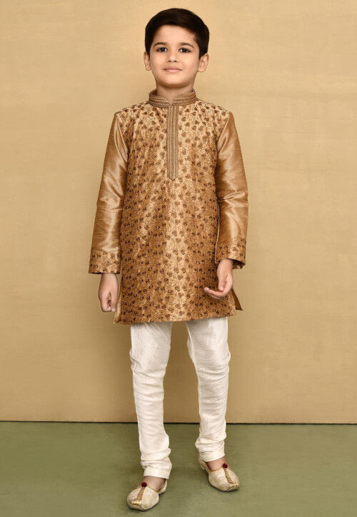 Embroidered Dupion Silk Kurta Set in Dark Beige