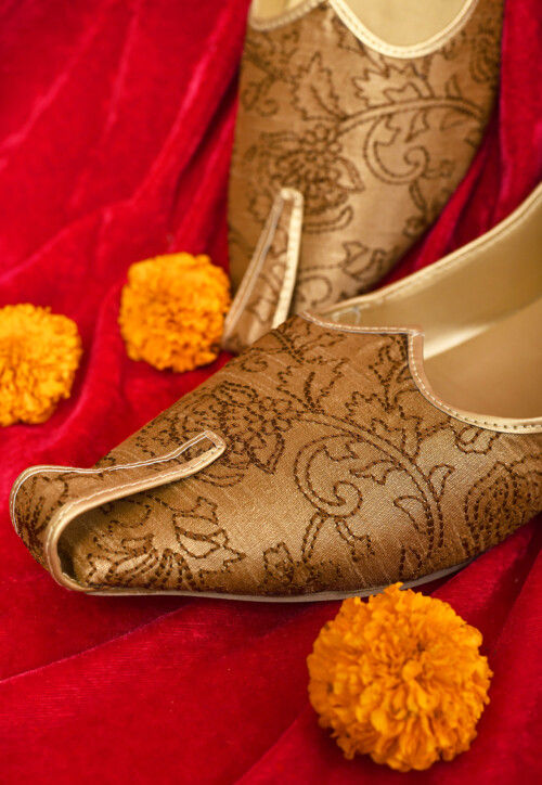 Embroidered Dupion Silk Men Mojari in Brown