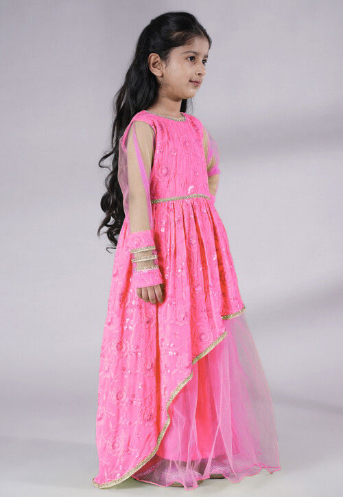 Embroidered Georgette Gown in Baby Pink