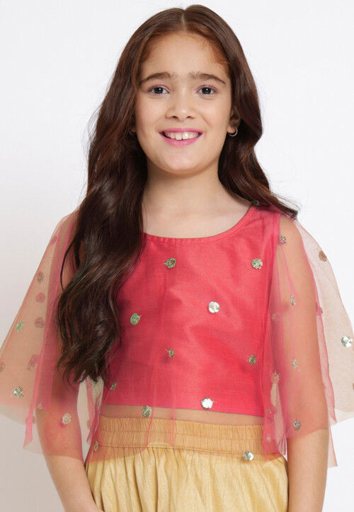 Embroidered Net Crop Top in Coral Pink