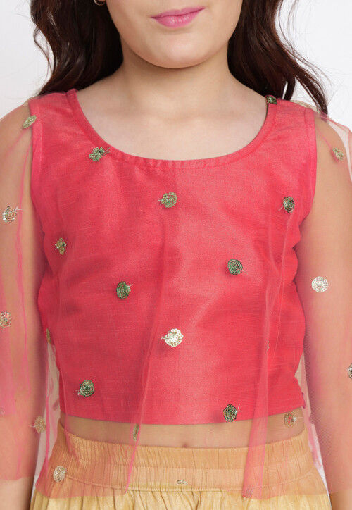 Embroidered Net Crop Top in Coral Pink