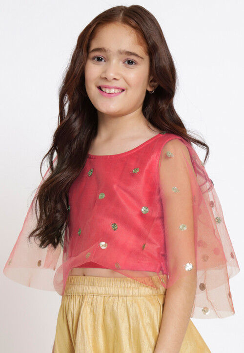 Embroidered Net Crop Top in Coral Pink