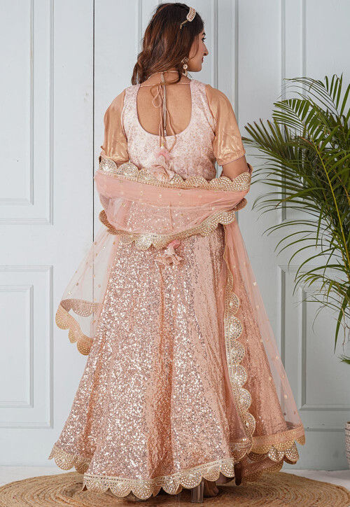 Embroidered Net Dupatta in Peach