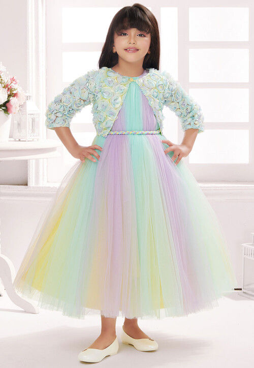 Embroidered Net Gown in Multicolor
