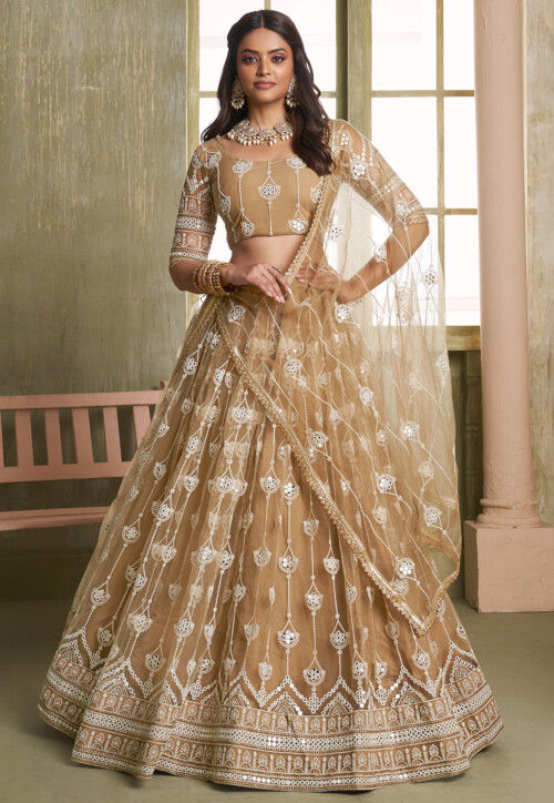 Embroidered Net Lehenga in Beige
