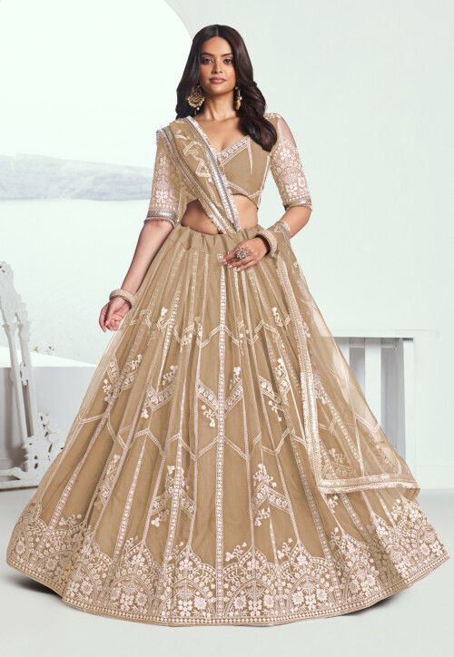 Embroidered Net Lehenga in Beige