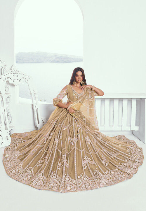 Embroidered Net Lehenga in Beige