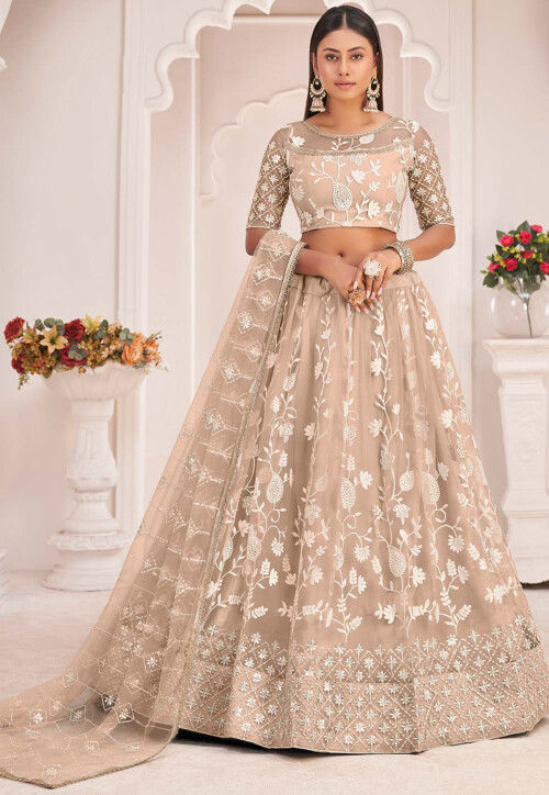 Embroidered Net Lehenga in Beige