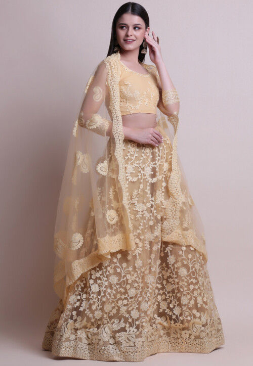Embroidered Net Lehenga in Beige