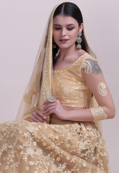 Embroidered Net Lehenga in Beige