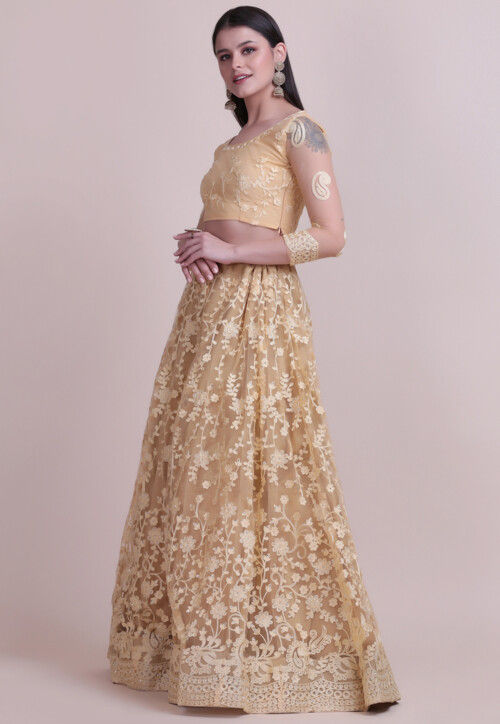 Embroidered Net Lehenga in Beige