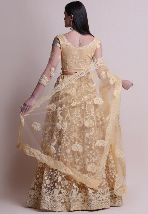 Embroidered Net Lehenga in Beige