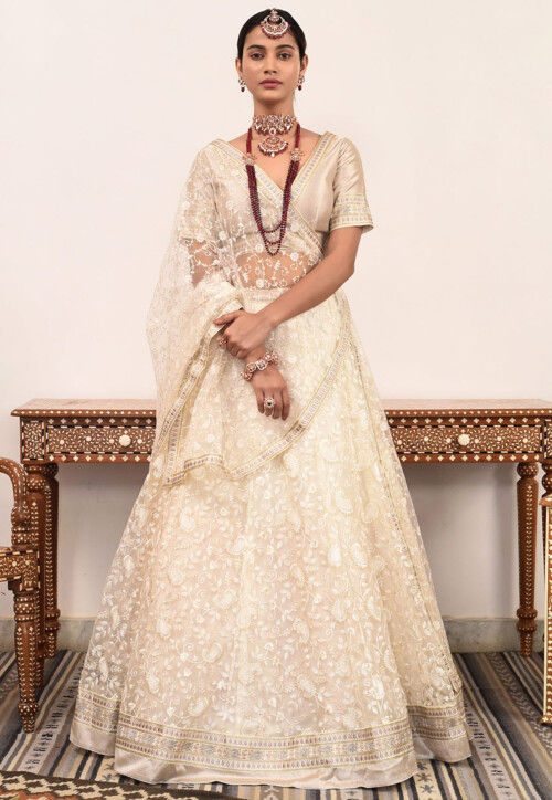 Embroidered Net Lehenga in Beige