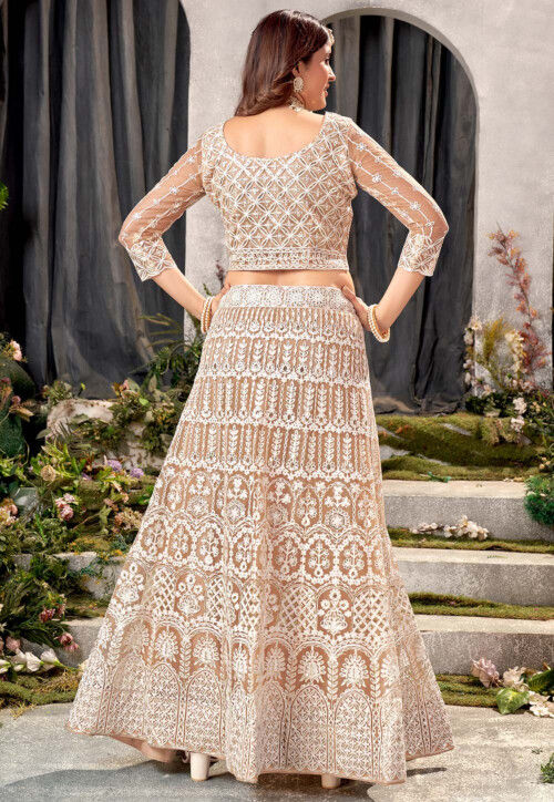 Embroidered Net Lehenga in Beige