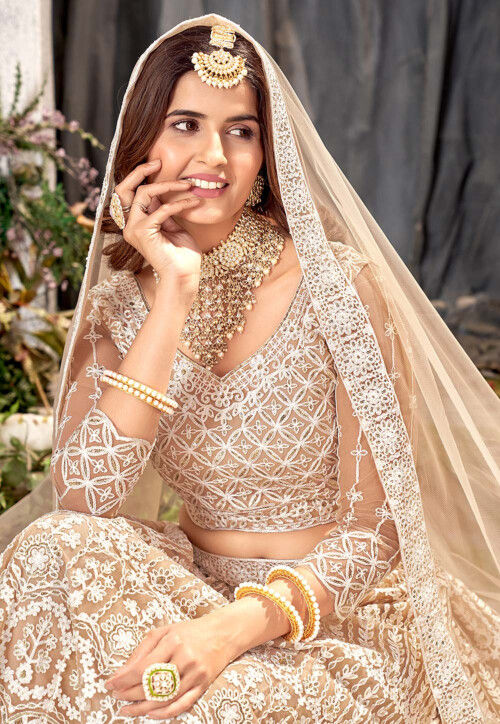 Embroidered Net Lehenga in Beige