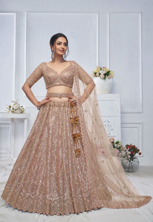 Embroidered Net Lehenga in Beige