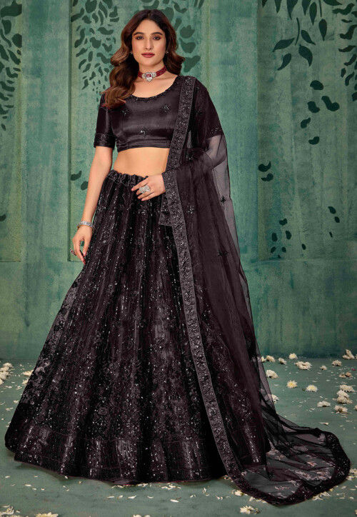 Embroidered Net Lehenga in Black