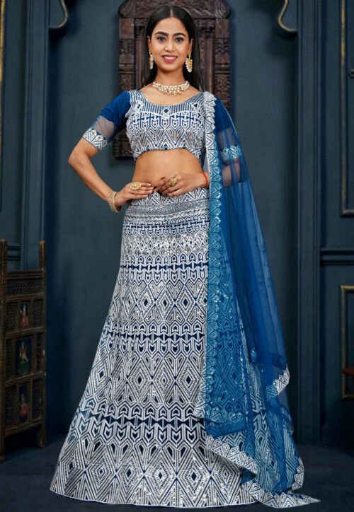 Embroidered Net Lehenga in Blue