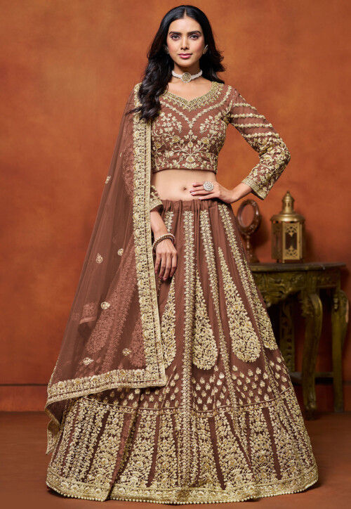 Embroidered Net Lehenga in Brown