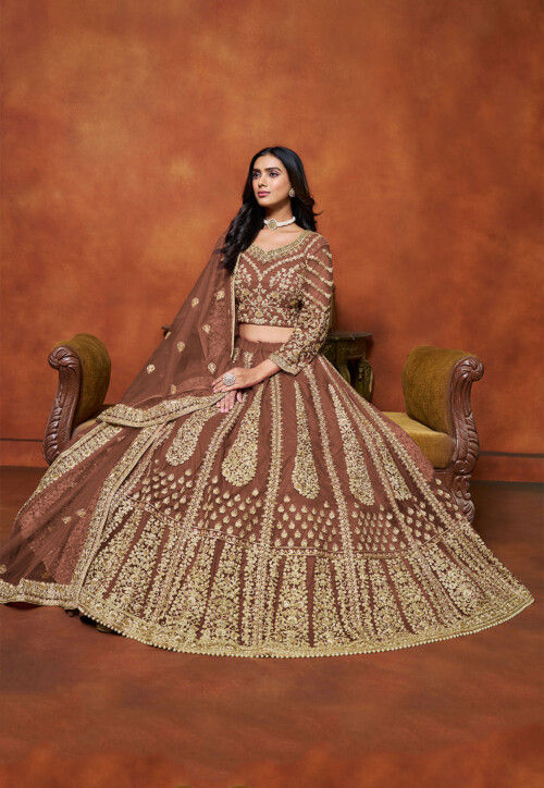 Embroidered Net Lehenga in Brown