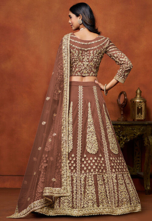 Embroidered Net Lehenga in Brown