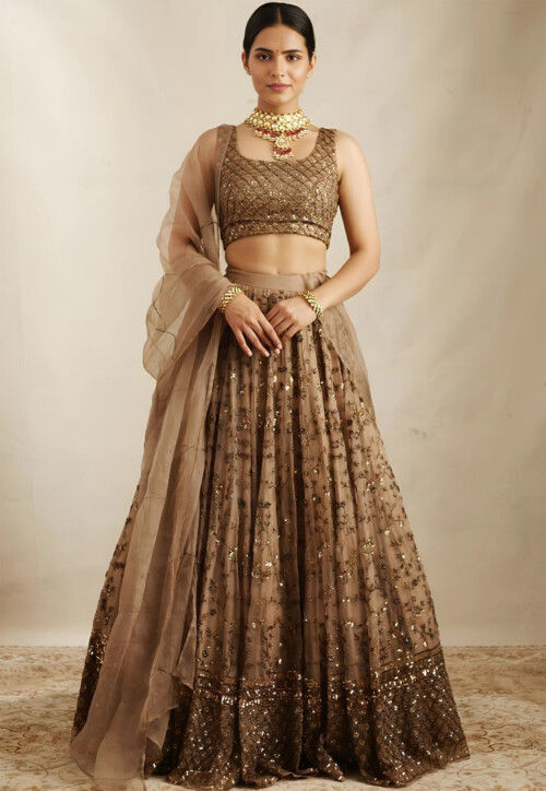 Embroidered Net Lehenga in Brown