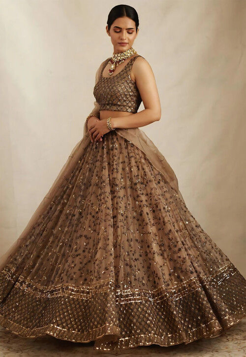 Embroidered Net Lehenga in Brown