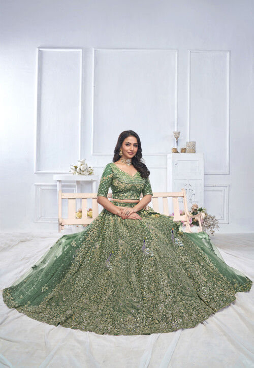 Embroidered Net Lehenga in Green