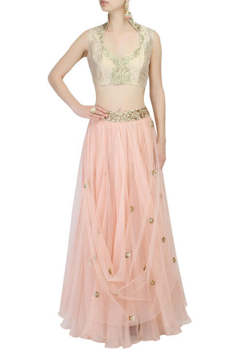 Embroidered Net Lehenga in Light Peach