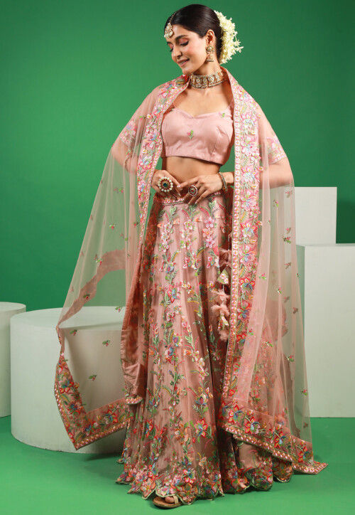 Embroidered Net Lehenga in Peach