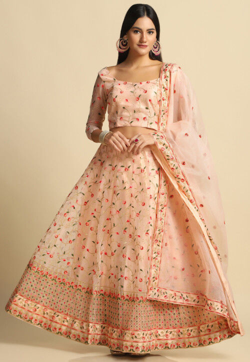 Embroidered Net Lehenga in Peach