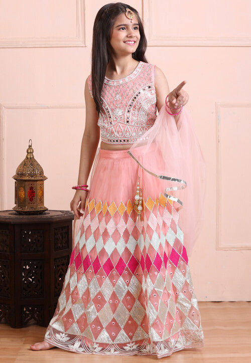 Embroidered Net Lehenga in Peach