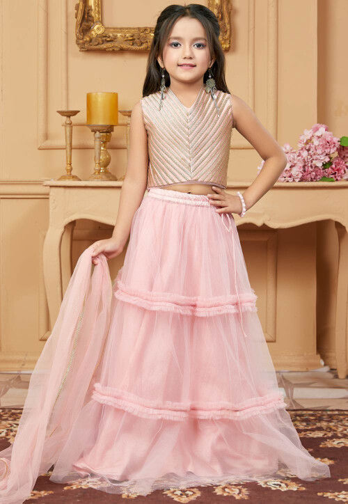 Embroidered Net Lehenga in Pink