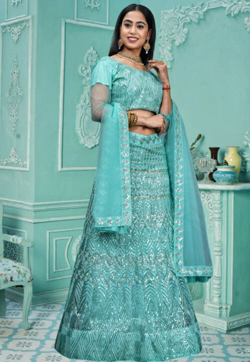 Embroidered Net Lehenga in Sky Blue