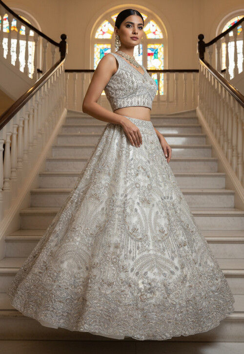 Embroidered Net Lehenga in White