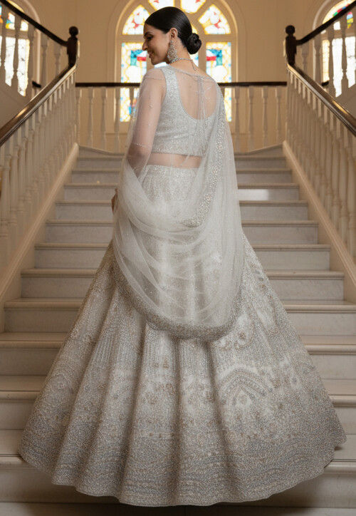 Embroidered Net Lehenga in White