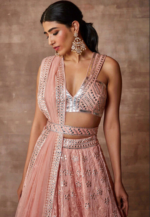 Embroidered Organza Lehenga in Peach