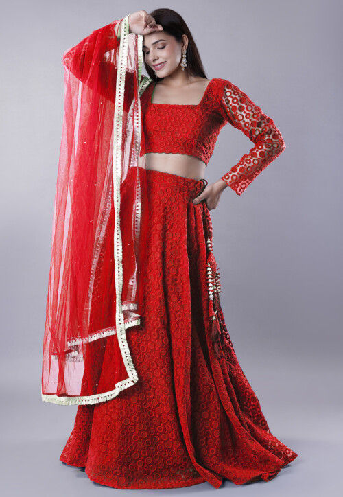 Embroidered Organza Lehenga in Red