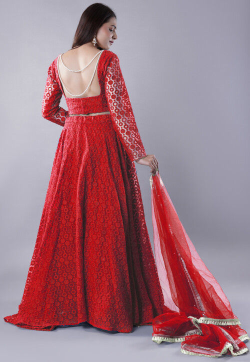 Embroidered Organza Lehenga in Red