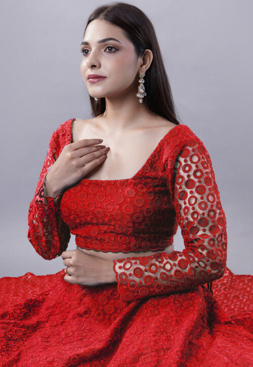 Embroidered Organza Lehenga in Red