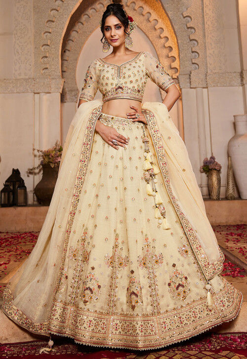 Embroidered Tissue Lehenga in Beige