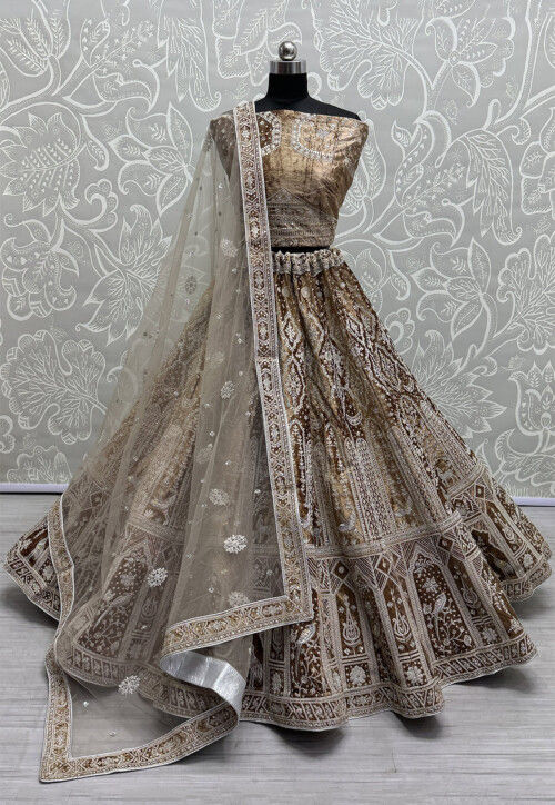 Embroidered Velvet Lehenga in Beige